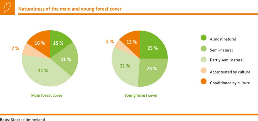 Naturalness of the main and young forest cover